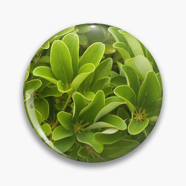 Item preview, Bed of Green Leaves designed and sold by Sinemathk.