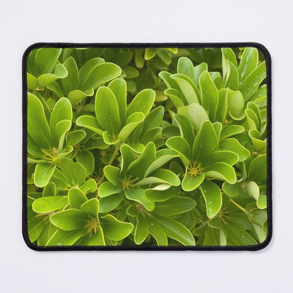 Item preview, Bed of Green Leaves designed and sold by Sinemathk.