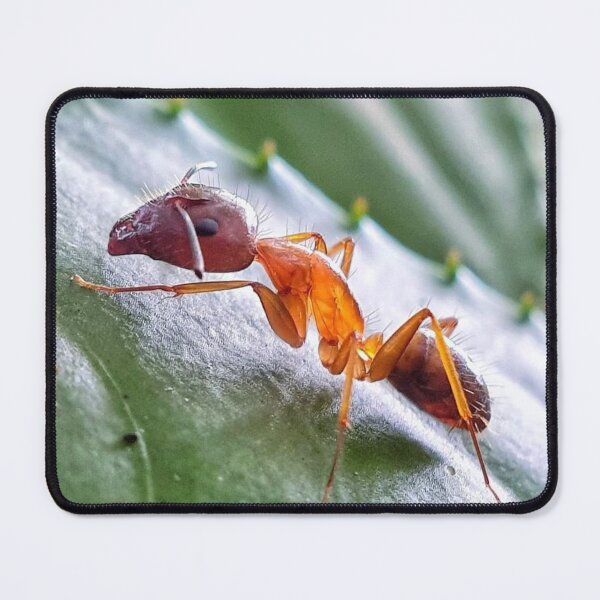 Item preview, Hardworking Ant designed and sold by Luxxe87.