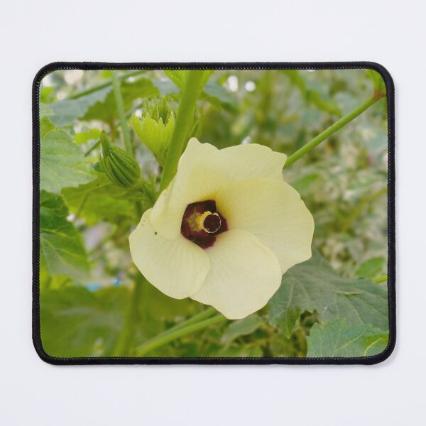 Item preview, Okra Flower designed and sold by Luxxe87.