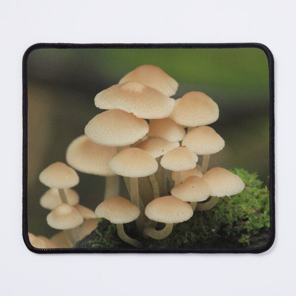 Item preview, Fungi  designed and sold by HogarthArts.