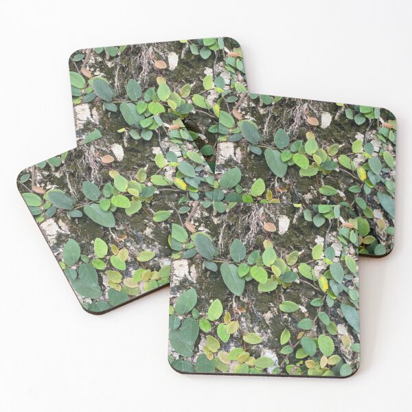 Item preview, Creeper Leaves on a Tree Trunk designed and sold by Sinemathk.