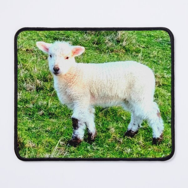 Item preview, HAPPY BABY LAMB AT MAUAO designed and sold by Steffi August.