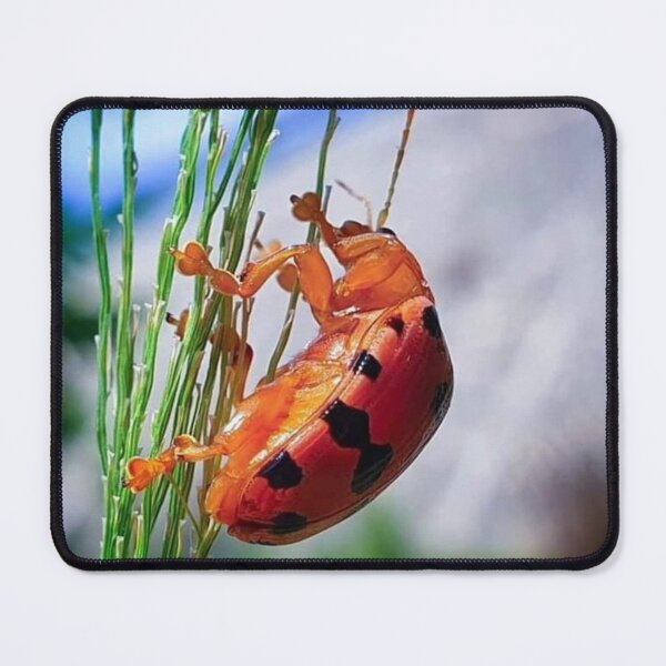 Item preview, Busy Eating Beetle designed and sold by Luxxe87.
