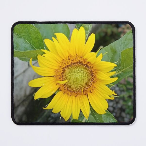 Item preview, Efflorescence Sunflower designed and sold by Luxxe87.