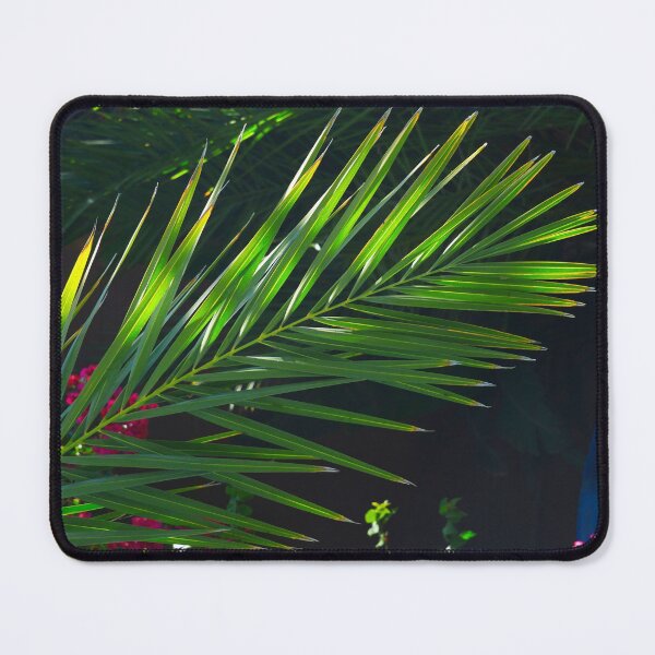 Item preview, Exquisite Palm Leaf Framed In Lush Shadows designed and sold by DEC02.