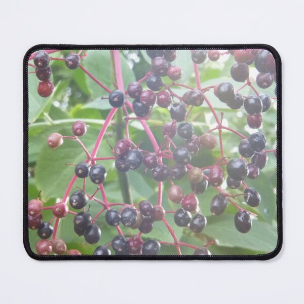 Item preview, Elderberries designed and sold by Moonshine Paradise.