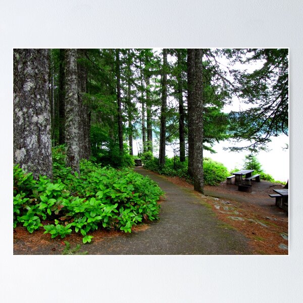 Item preview, Walking Path Along Detroit Lake...Detroit, Oregon designed and sold by Diane Arndt.