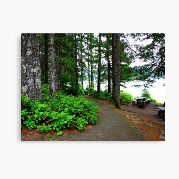 Item preview, Walking Path Along Detroit Lake...Detroit, Oregon designed and sold by Diane Arndt.
