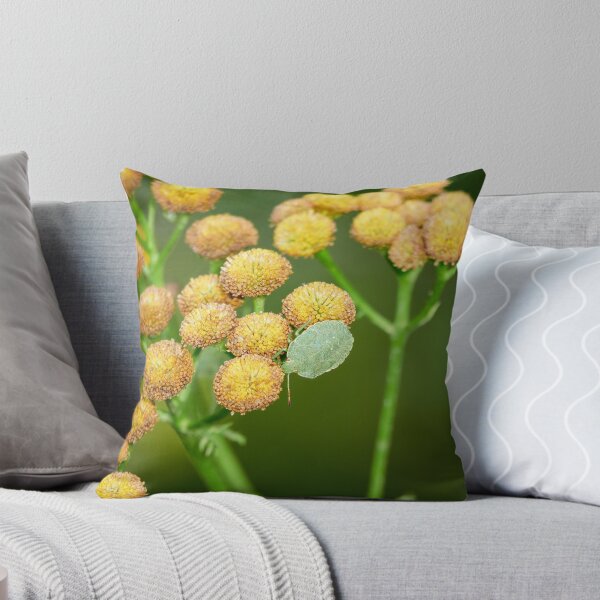 Item preview, The red eyes. Green shield bug designed and sold by Jouko Lehto Photography.