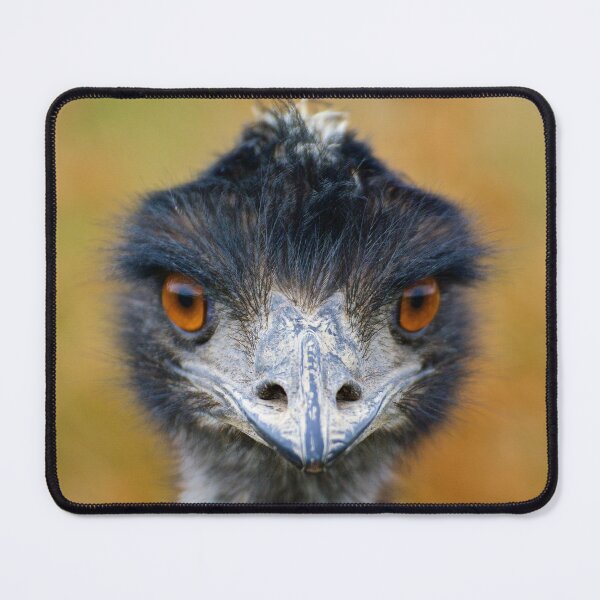 Item preview, RATITE ~ Emu jnD9yEQf by David Irwin ~ WO designed and sold by tasmanianartist.