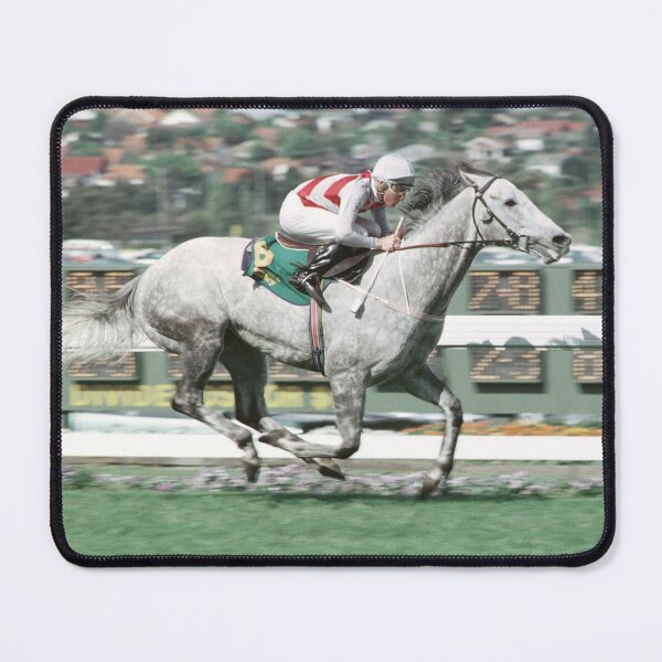 Champion Australian racehorse Schillaci. Mouse Pad