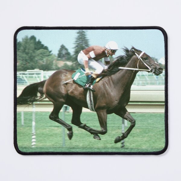 Champion Australian racehorse Vo Rogue. Mouse Pad