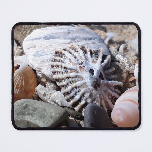 Item preview, Sea Shell Sun Face designed and sold by Beachy.