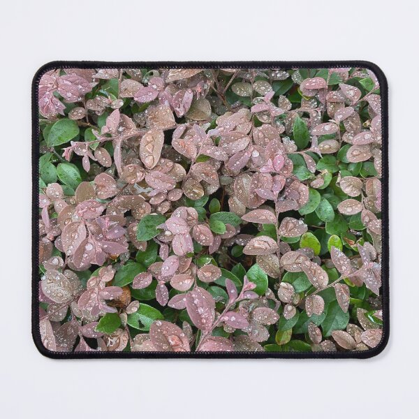 Item preview, Raindrops on a Bed of Leaves designed and sold by Sinemathk.