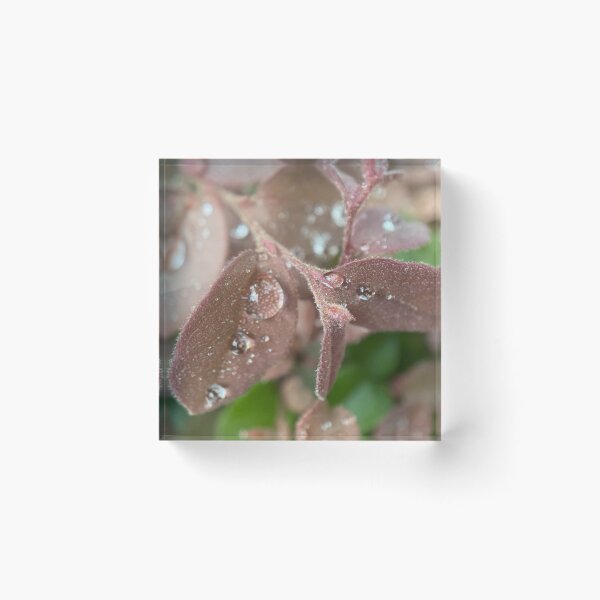 Item preview, Raindrops on a Leaf designed and sold by Sinemathk.