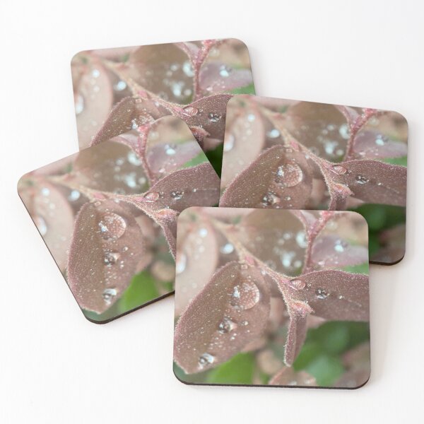 Item preview, Raindrops on a Leaf designed and sold by Sinemathk.