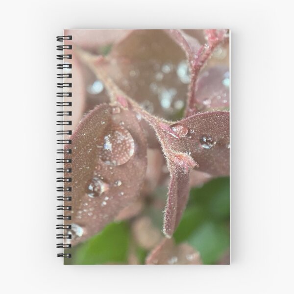 Item preview, Raindrops on a Leaf designed and sold by Sinemathk.