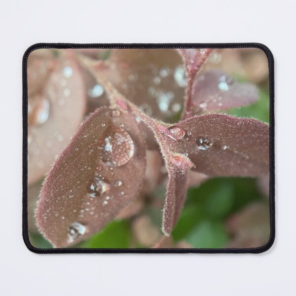 Item preview, Raindrops on a Leaf designed and sold by Sinemathk.