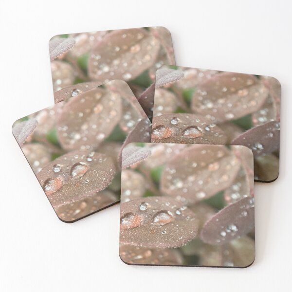 Item preview, Raindrops on a Leaf designed and sold by Sinemathk.