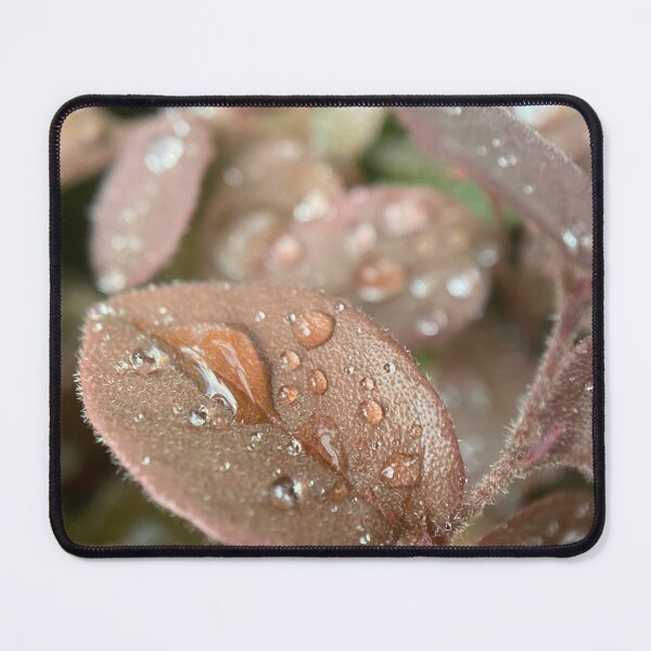 Item preview, Raindrops on a Leaf designed and sold by Sinemathk.