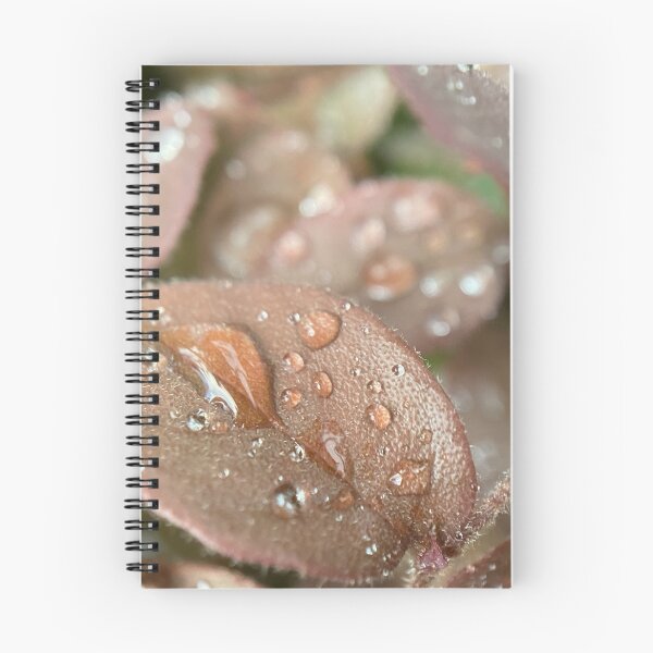 Item preview, Raindrops on a Leaf designed and sold by Sinemathk.