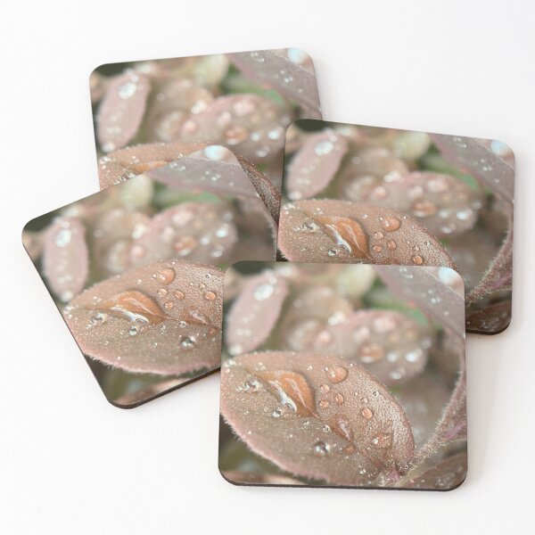 Item preview, Raindrops on a Leaf designed and sold by Sinemathk.