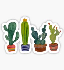 Cacti don't succ Sticker