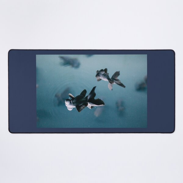 Item preview, Black Telescope Goldfish Floating in Misty Blue Water - Stunning Zen Vibe Scene at An Aquarium in Japan designed and sold by sthNnth.