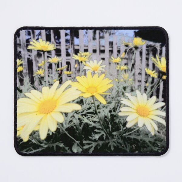 Item preview, Yellow Daisies and Fence designed and sold by Beachy.