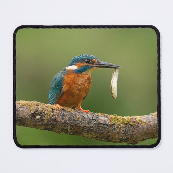 Item preview, Fishermans Tales designed and sold by iaintall.