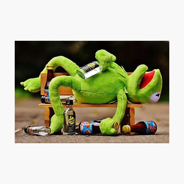 Kermit Photographic Print