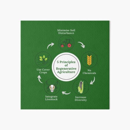 Vista previa del artículo con la obra «5 principios de la agricultura regenerativa - Salvemos nuestro suelo - Cambio climático inverso», diseñado y vendido por WildBerryArt.