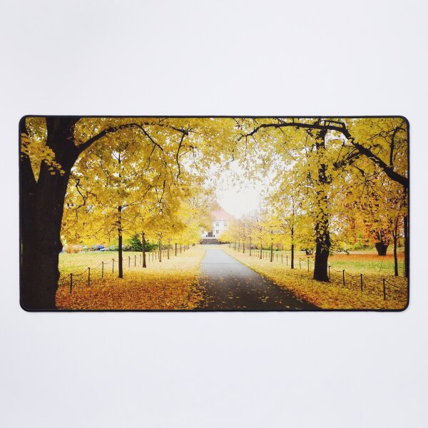 Item preview, Forest in Autumn during Halloween Season designed and sold by Happiness Creators.