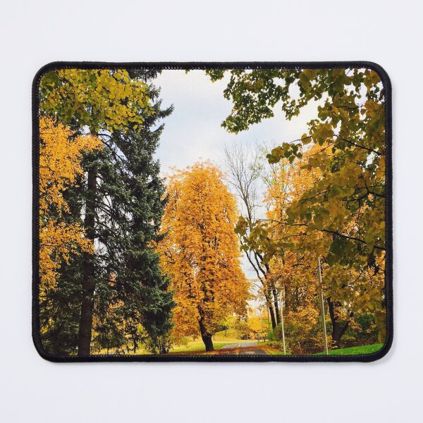 Item preview, Forest in autumn season in Norway during Halloween designed and sold by Happiness Creators.