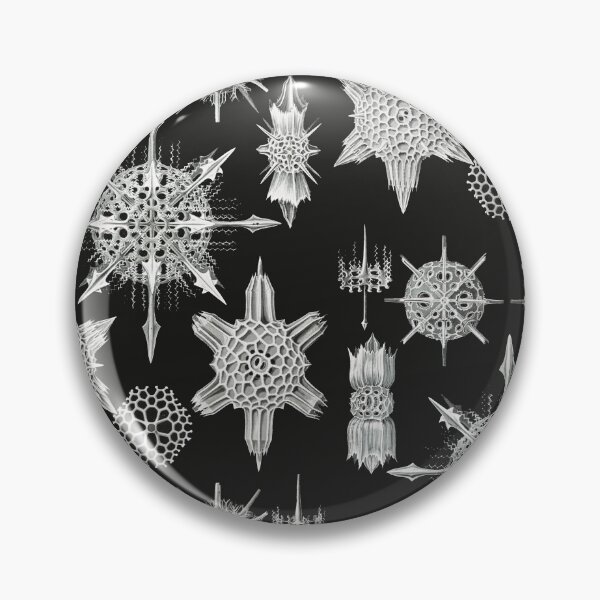 Item preview, Acanthophracta–Wunderstrahlinge (1904) by Ernst Haeckel designed and sold by AntiquusForma.