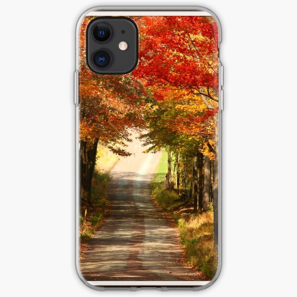 Autumn Path to Winter iPhone Soft Case