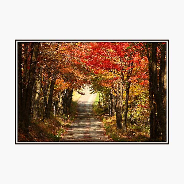 Item preview, Autumn Path to Winter designed and sold by Michelle Callahan.