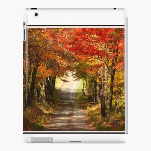 Autumn Path to Winter iPad Snap Case