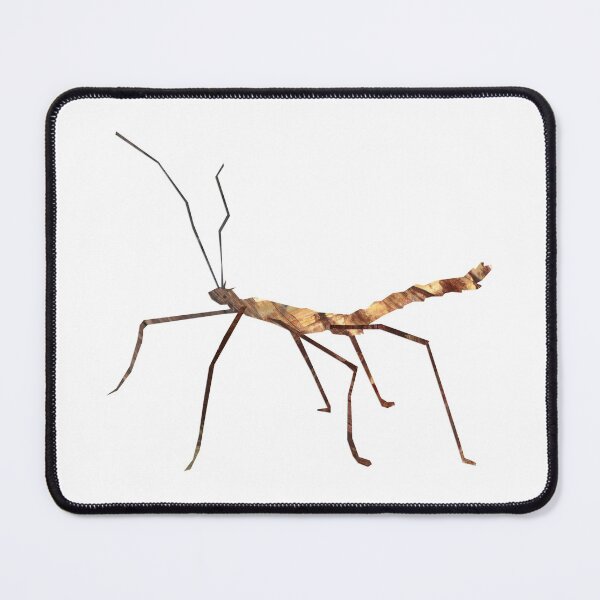 Item preview, Stick insect designed and sold by BabbanGaelg.