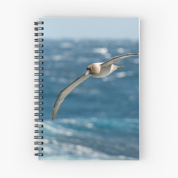 Item preview, Light-mantled sooty albatross designed and sold by Mark Prior.
