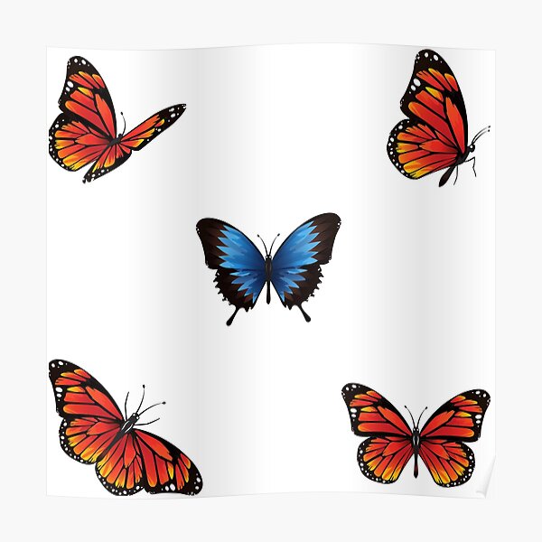 Cute Butterfly Pattern- Lovely Poster