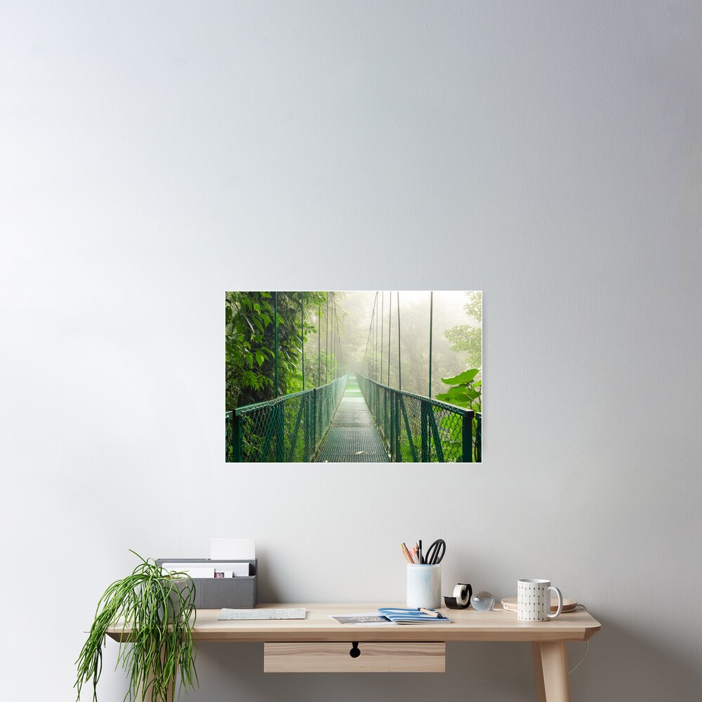 Suspension bridge in rainforest Poster