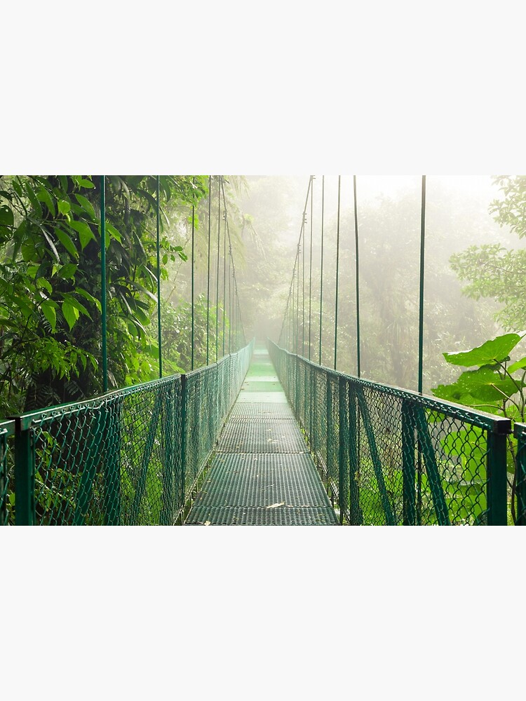 Suspension bridge in rainforest by Juhku