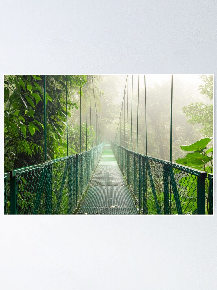 Alternate view of Suspension bridge in rainforest Poster