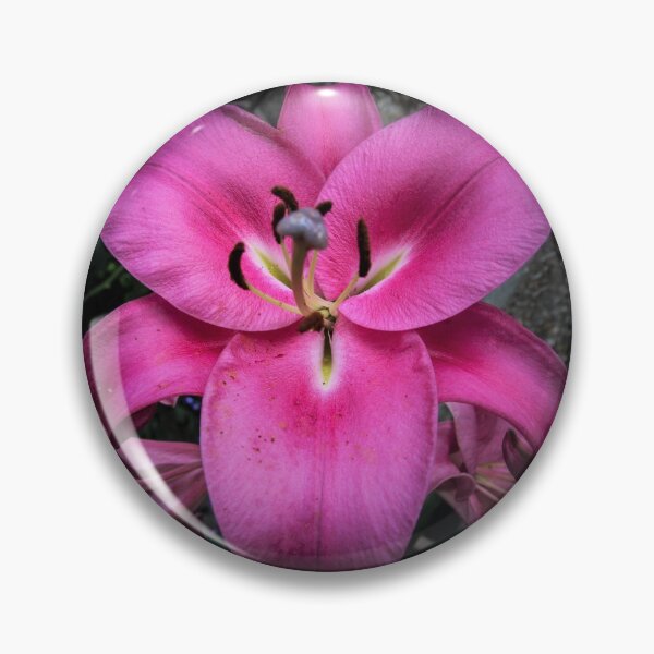 Item preview, pink lily designed and sold by Perggals© - Stacey Turner.