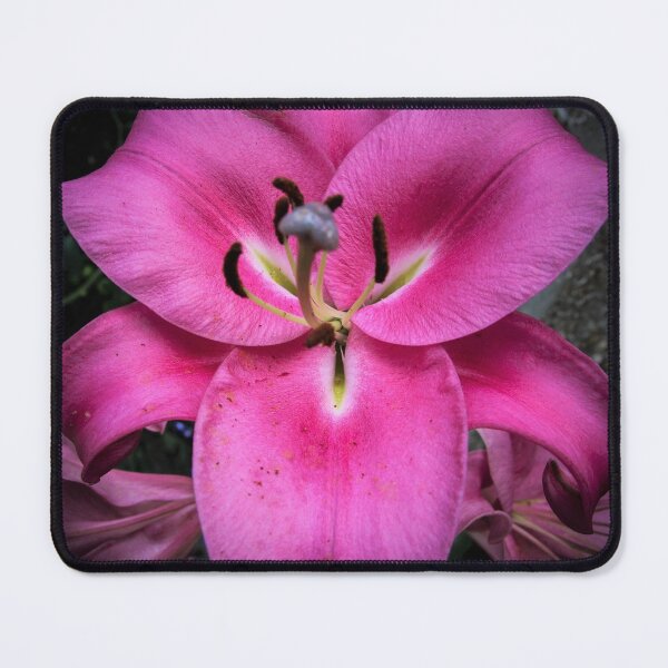 Item preview, pink lily designed and sold by Perggals© - Stacey Turner.
