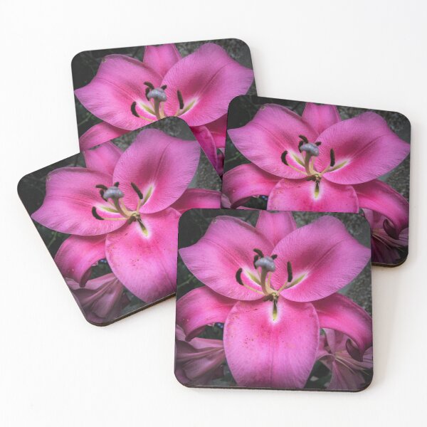 Item preview, pink lily designed and sold by Perggals© - Stacey Turner.