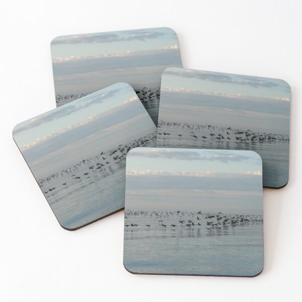 Item preview, Bird Ribbons in Black and Blue - Cormorant Flocks and Ripple Patterns designed and sold by Georgia Mizuleva.