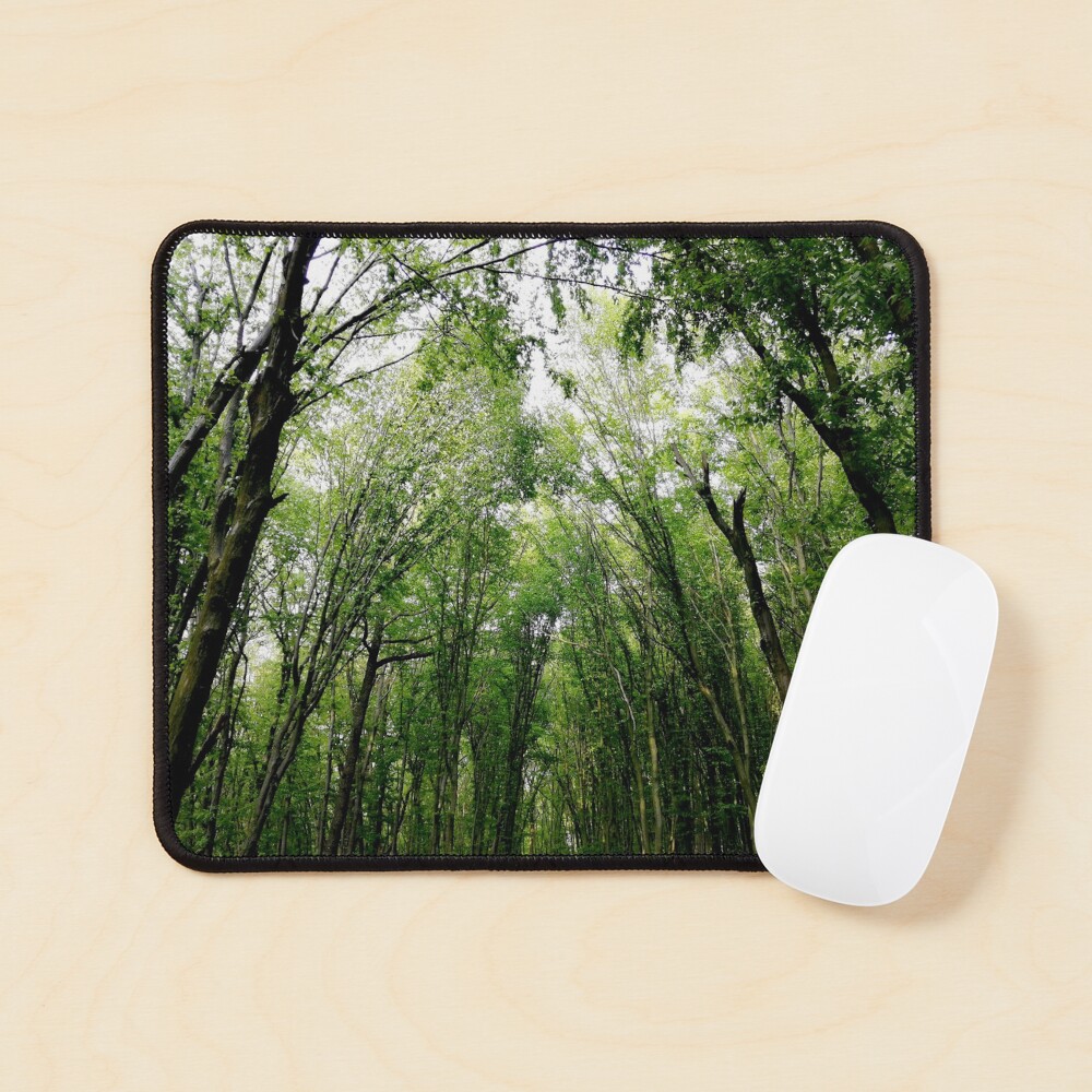 Natural landscape of green forest, dense, sunlight at sunset, wonderful color games, relaxation, zen, karma concept Mouse Pad